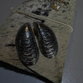 Aretes almeja plata