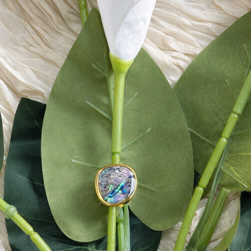 Anillo Aura