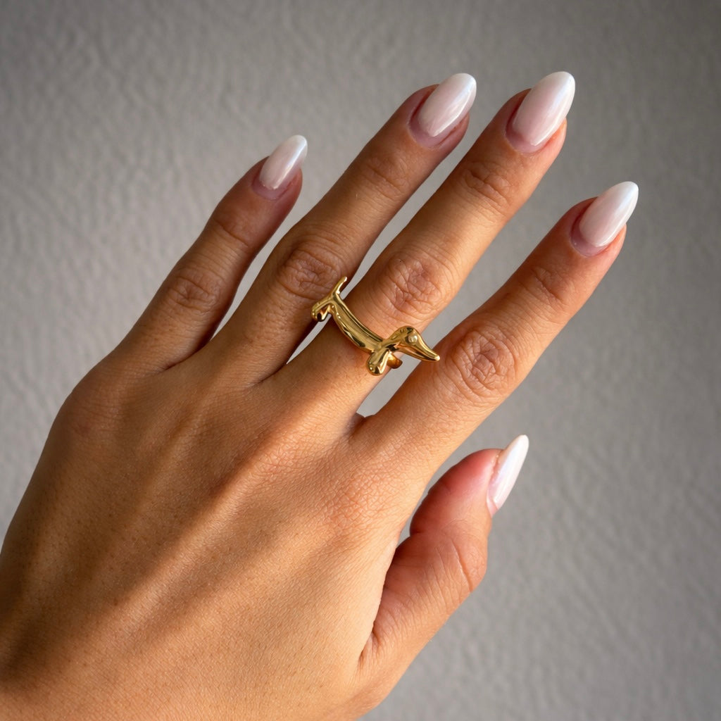 Anillo Dachshund