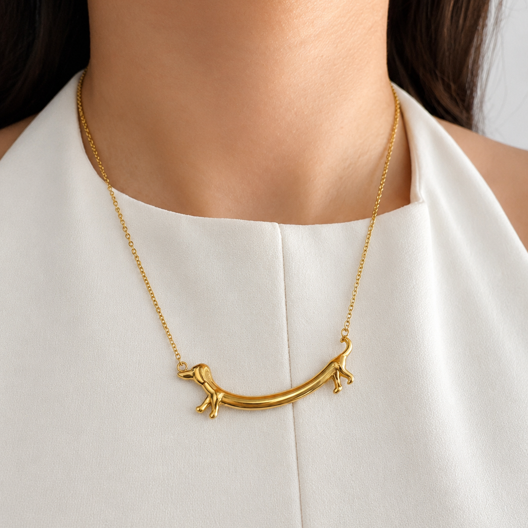 Collar charlie